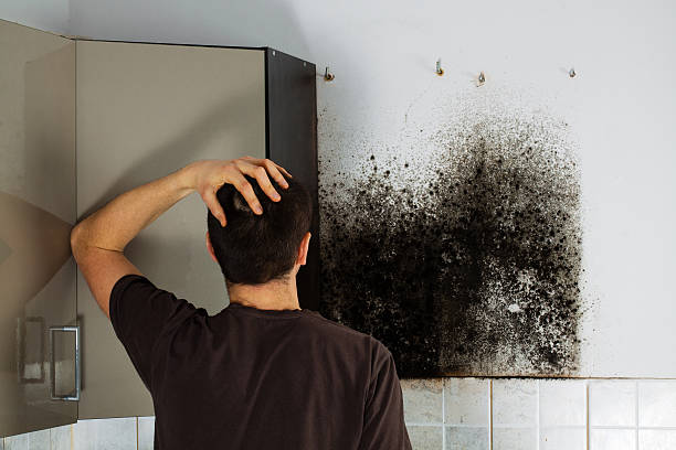 Crawl Space Mold Removal in Indian Lake, MO